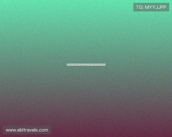 全面解析模拟百家乐软件的优势与使用方法帮助新手快速入门 全面解析模拟百家乐软件的优势与使用方法帮助新手快速入门