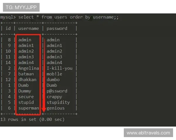 2024年OG视讯网站在线看攻略,详细步骤帮助新手快速上手体验 2024年OG视讯网站在线看攻略,详细步骤帮助新手快速上手体验