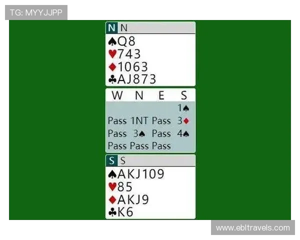 深入分析百家乐游戏规则的不同版本及其在实际游戏中的应用差异