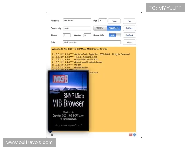 真人电子mgapp平台安全性分析，保障玩家个人信息与资金安全的措施