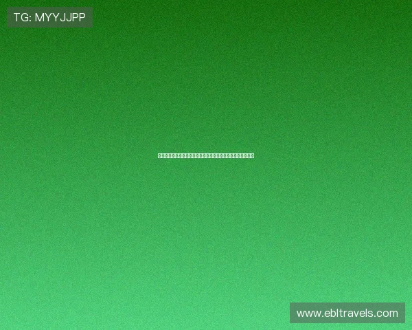 全面解析真人视讯注册游戏的流程与技巧助你快速成为游戏高手