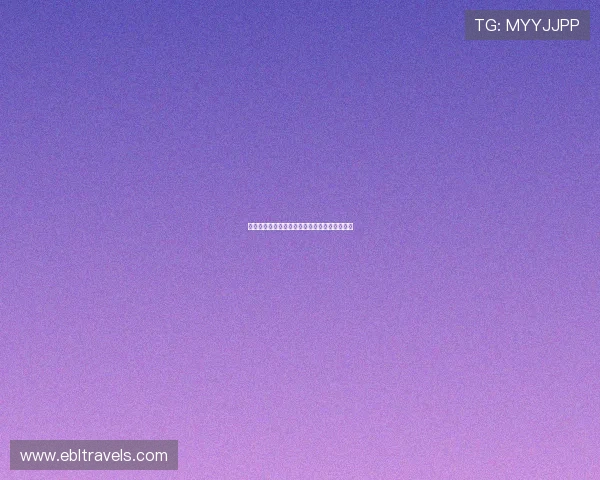 网络真人百家乐规则详解新手入门必看全面攻略