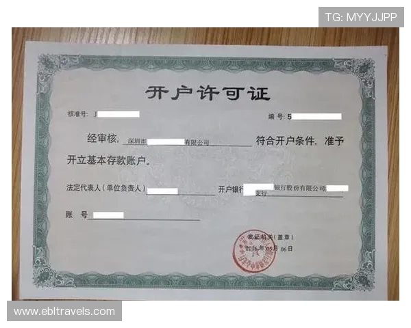 视讯真人哪里开户的最全指南,帮助新手快速了解开户流程与安全保障