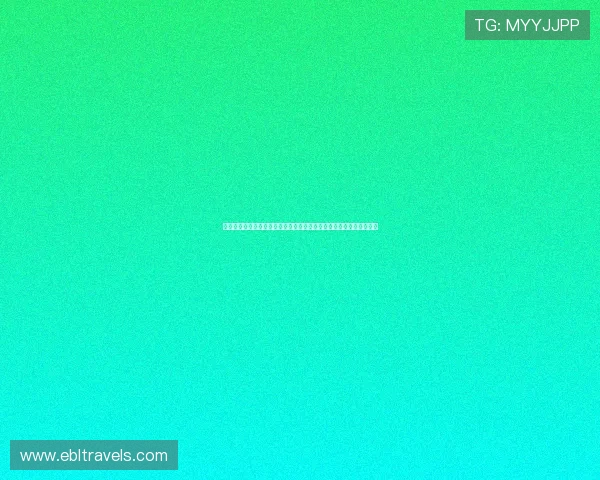 世界杯葡萄牙对乌兹别克斯坦比赛阵容分析:战术布局与关键球员表现 世界杯葡萄牙对乌兹别克斯坦比赛阵容分析:战术布局与关键球员表现