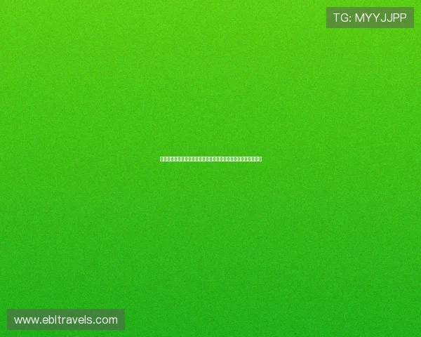 约旦与奥地利队训练动态深度分析为世界杯赛场表现提供战略指导 约旦与奥地利队训练动态深度分析为世界杯赛场表现提供战略指导