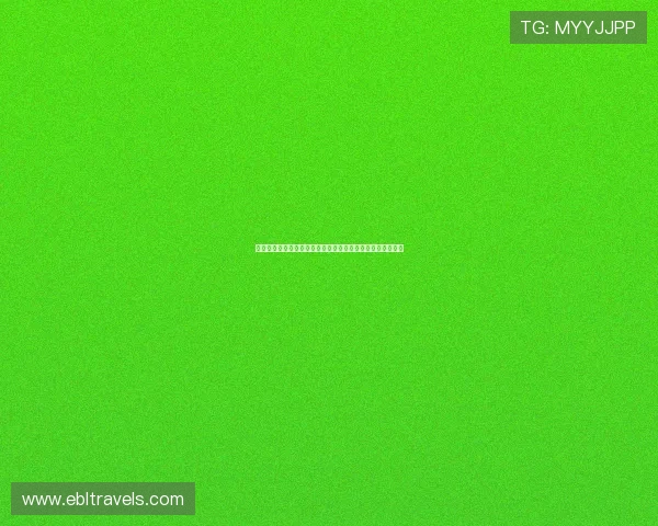 电竞真人版:打造沉浸式世界杯主题体验引领体育娱乐新潮流