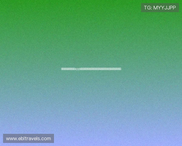 下载亚星娱乐客户端app获取世界杯赛事最新资讯、精彩评论和专业分析提升观赛体验