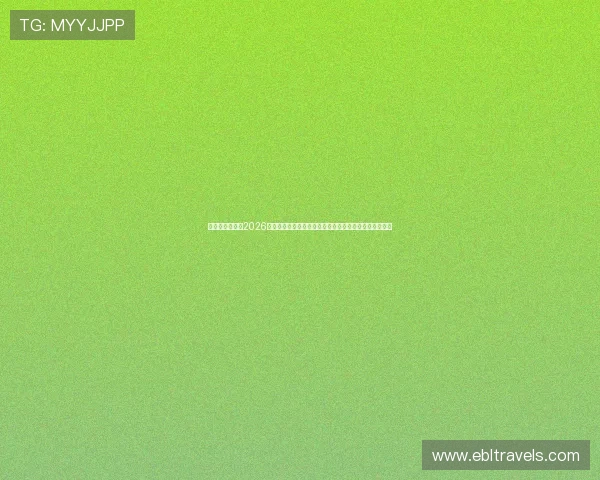 亚星在线娱乐：2026世界杯赛前热身与球队备战情况全面解析，了解最新动态